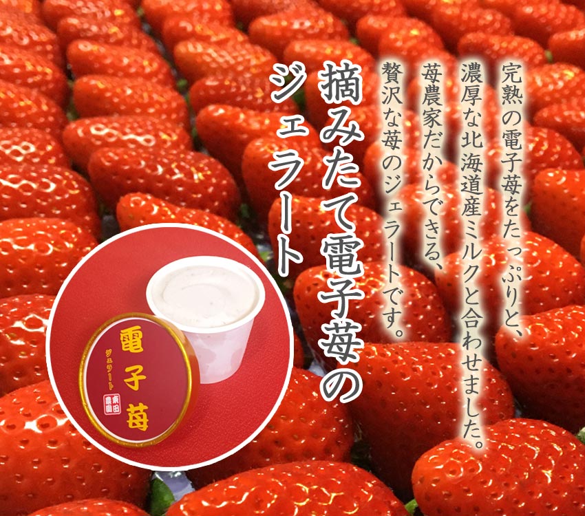 摘みたて電子苺のジェラート | 奈良県の電子苺産直農家 東田農園